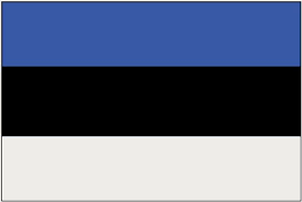 FLAG ESTONIA 150 CM